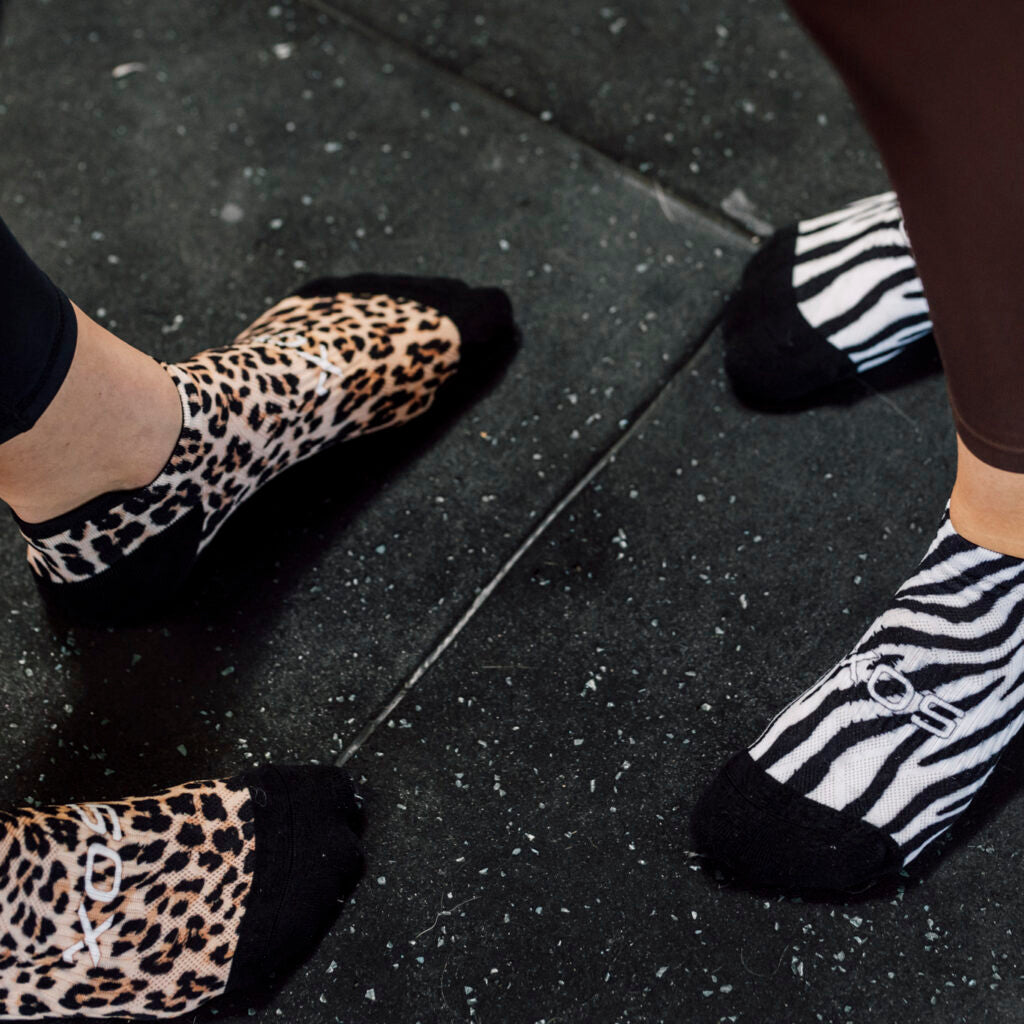 Wild Animals Tab Combo