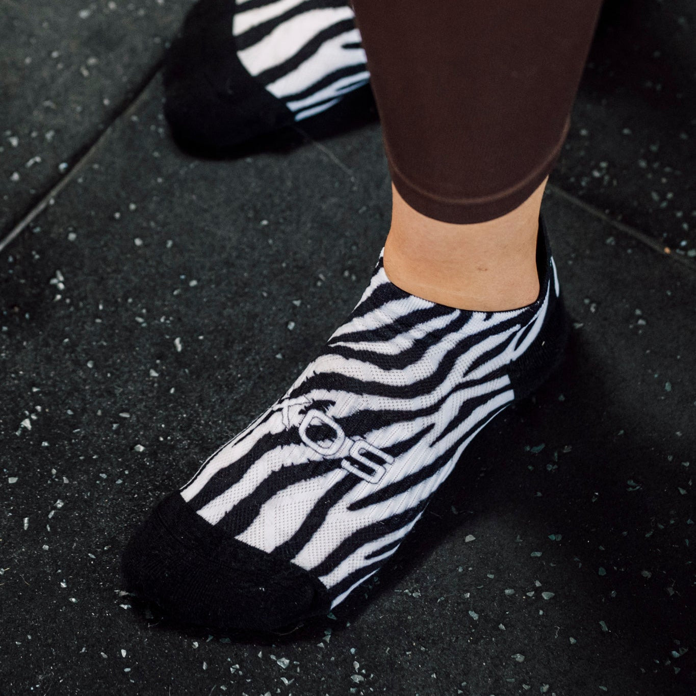 Wild Animals Tab Combo